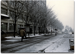 雪の矢上台「卒業アルバム1986～1990」より